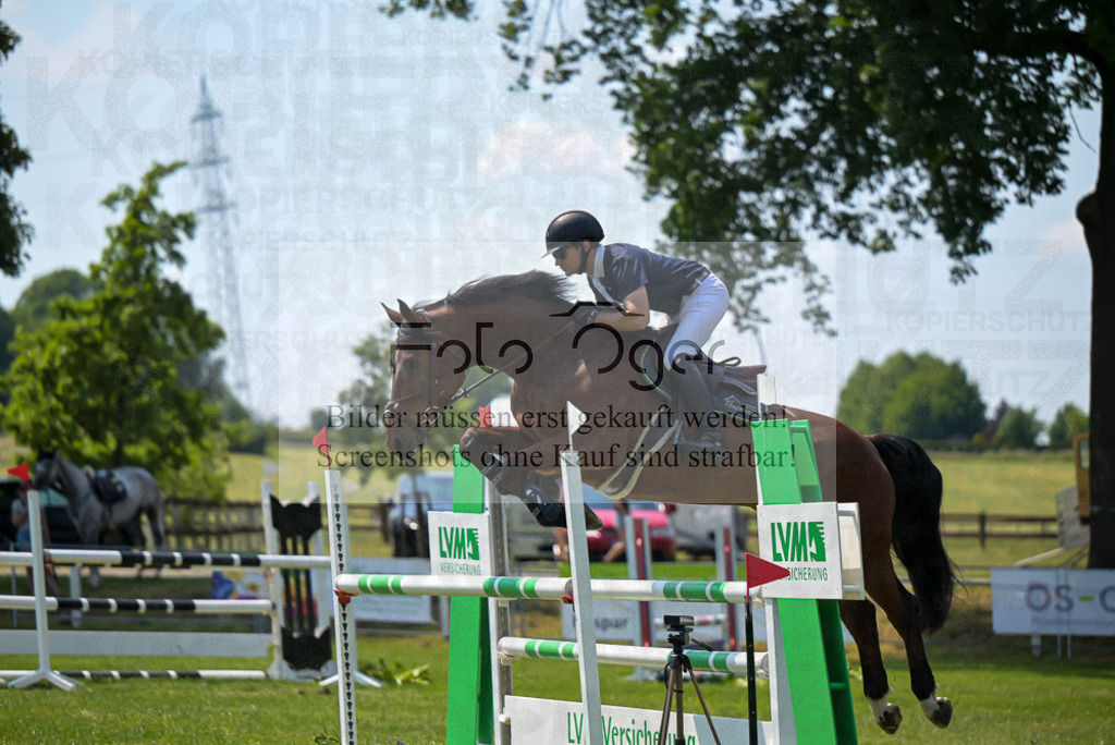 Reitturnier Voxtrup | Entdecke hochwertige Reitturnierfotos von Foto Oger. Professionell, emotional und authentisch – jetzt Lieblingsmomente im Shop bestellen.Deutschlandweite Turnierfotografie. - Realisiert mit Pictrs.com