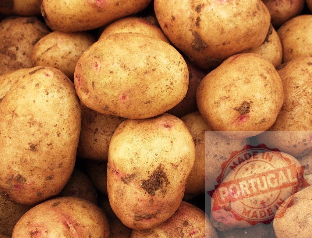 Fresh organic raw potatoes pile background | Fresh raw potatoes with dirt on skin creating full frame background texture - Realized with Pictrs.com