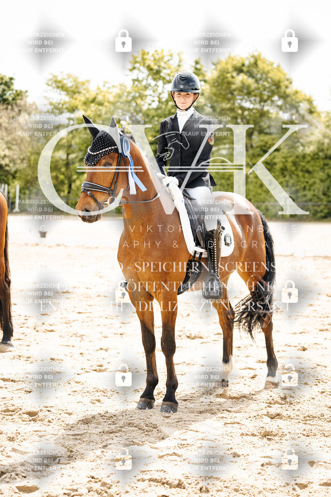 CK703622 | Turnierfotografie Pferdefotografie Trier Rheinland-Pfalz Pferdesport Reitsport Tierfotografie Sportfotografie Pferdevideo Pferdevideografie Equestrianvideography equestrianphotography  - Realisiert mit Pictrs.com