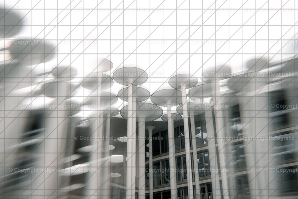 20260703203537Z63_5330 | Kaufen sie online außergewöhnliche Fotografien auf Leinwand Acrylglas Fotoprint Aludibond von holgerweigeltfotografie - Realisiert mit Pictrs.com