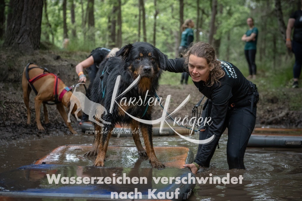 1227_ZZ99249T | kk-dogfotos