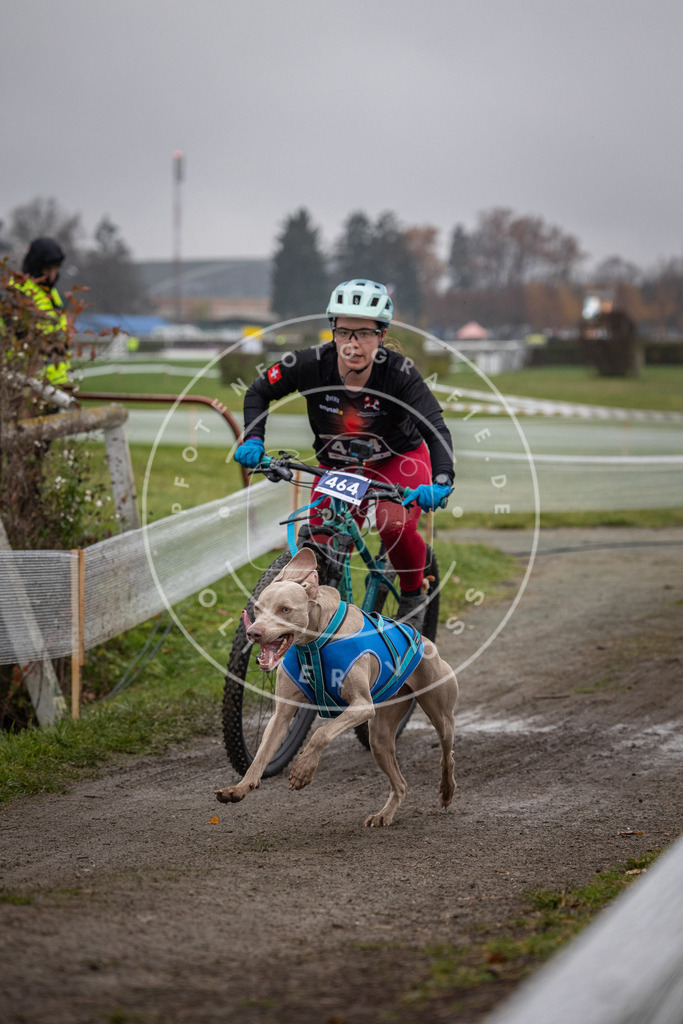 CaniXpix_0L8A1705 | Hundefotografie, Tierfotograf, Pfotenfotografie, Fotoshooting Hund, Hunde Portrait, Hundesport, Hundeportraits, Heideshooting, Hunde, Sportfotograf, Hundefotograf, Turnierhundsport, THS,  - Realisiert mit Pictrs.com