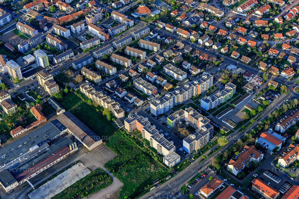 Luftbild: Allensteiner Straße in Neustadt an der Weinstraße im Bundesland Rheinland-Pfalz in Deutschland. Foto: IMG_106615.jpg vom 17.04.2018 durch Werner Riehm/FLY-FOTO.de
