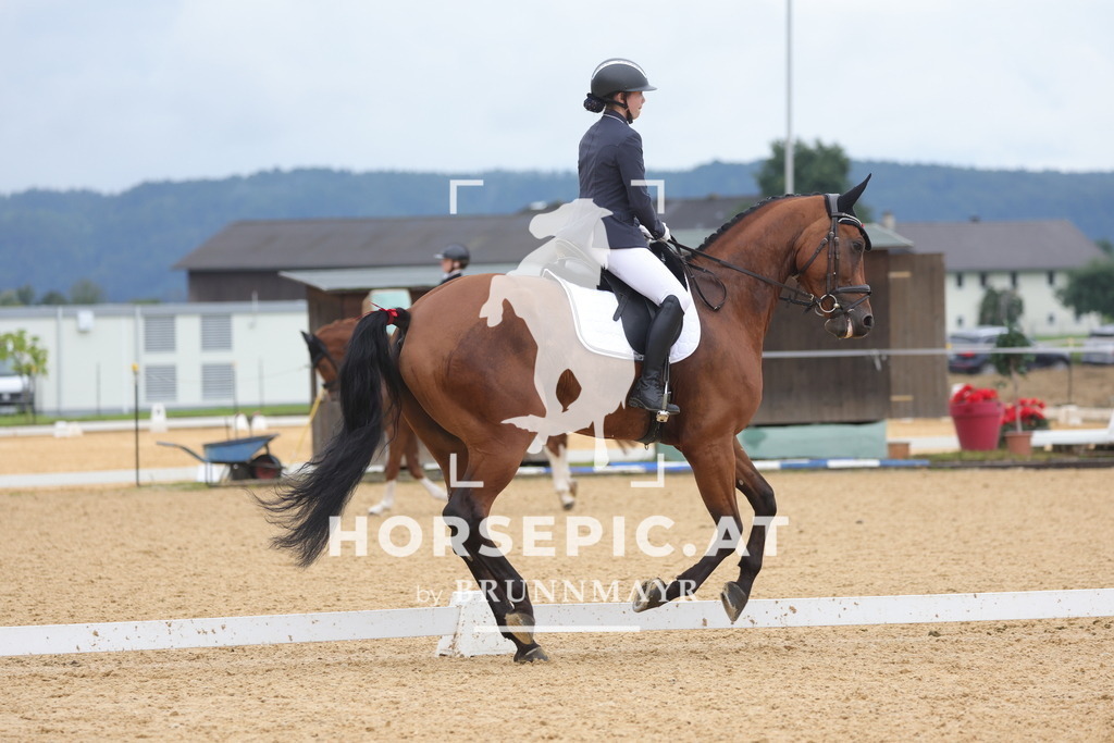 0P6A1458 | Willkommen bei Brunnmayr - Design & Fotografie – Ihrem Spezialisten für Reitturniere und Pferdeveranstaltungen in Oberösterreich, Salzburg und Bayern! Seit über 17 Jahren sind wir leidenschaftlich dabei.