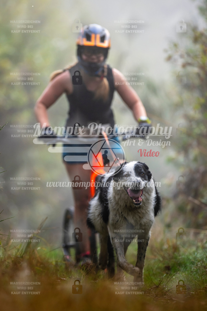 MompixPhotography_20TSB_E4_DS1-61 | PayLife