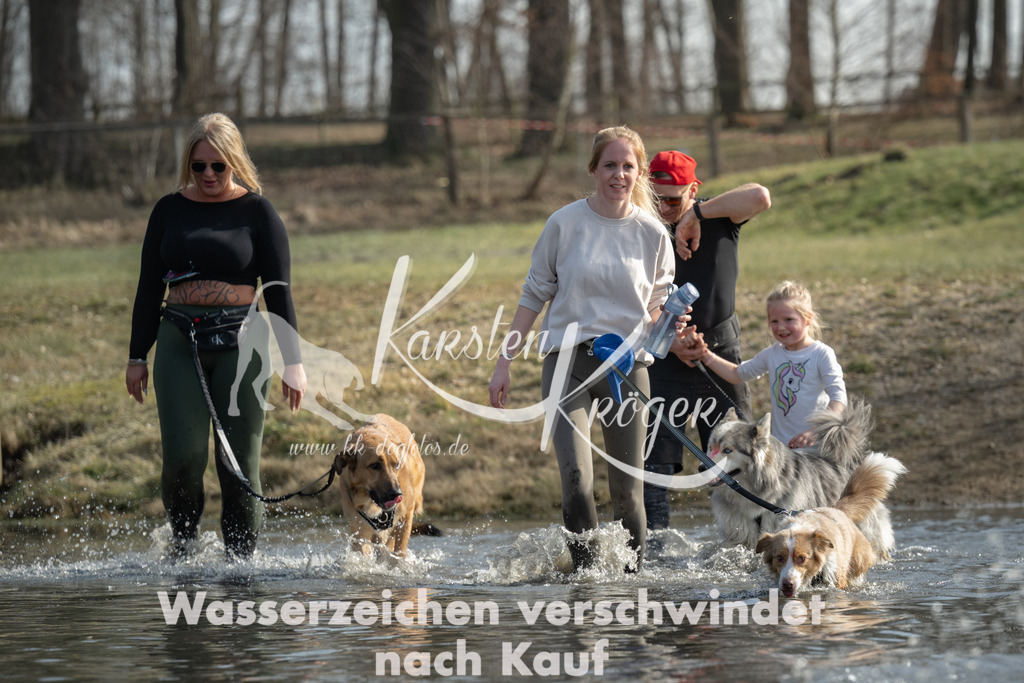 1254_ZZ92676 | kk-dogfotos