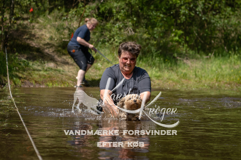 1322DKK994503 | kk-dogfotos