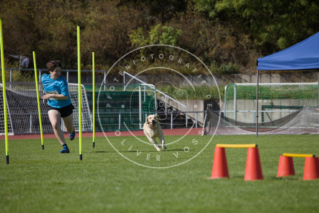 0L8A7596 | Hundefotografie, Tierfotograf, Pfotenfotografie, Fotoshooting Hund, Hunde Portrait, Hundesport, Hundeportraits, Heideshooting, Hunde, Sportfotograf, Hundefotograf, Turnierhundsport, THS,  - Realisiert mit Pictrs.com