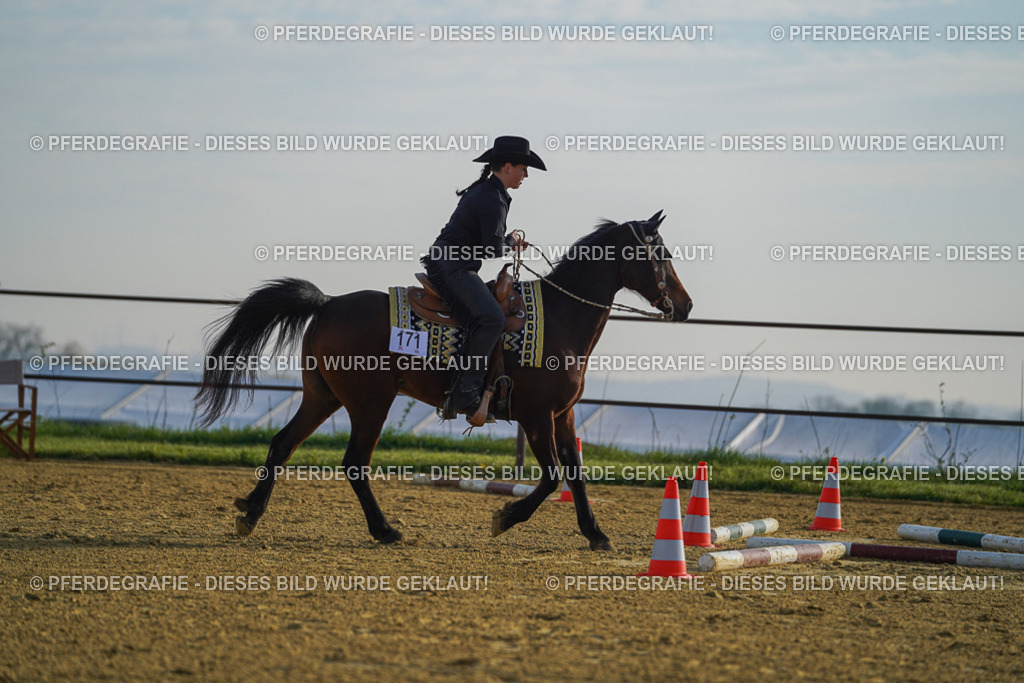 DSC00405 | Pferdegrafie