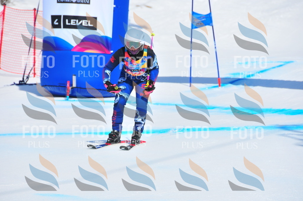 DSC_4984 | holidayphoto