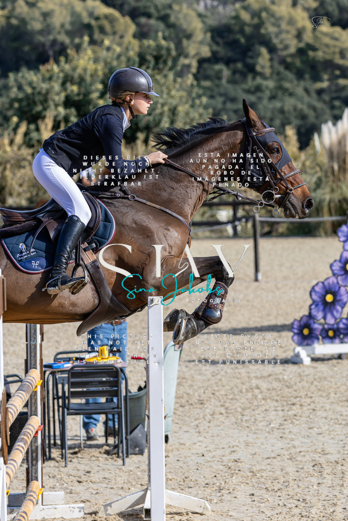 IMG_0650 | s-jay-photography - Realisiert mit Pictrs.com