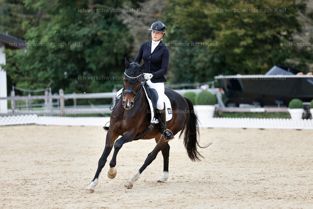 3-104-Dressur M_-StoibPH-2468 | working equitationturnier fotograf videograf stoibphotography marixx film working equitation deutschland reitsport turnierfotografie eventfotografie equestrian events