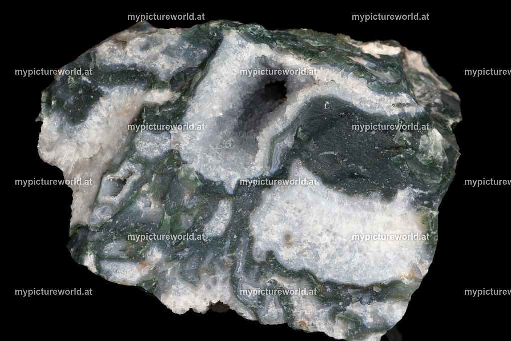 Moosachat-001 | Das Bilderarchiv über Tiere, Planzen und Landschaften. In der Bilddatenbank finden Sie ein große Auswahl an hochwertigen Bilder für Ihre Werbung - Realisiert mit Pictrs.com