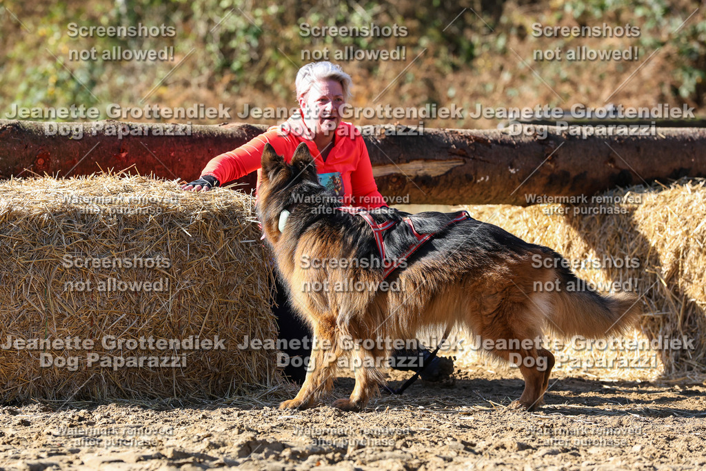 Dog Paparazzi - Strongdog 10-25-2635 | Dog Paparazzi Jeanette Grottendiek Fotografie & Videografie - Realisiert mit Pictrs.com