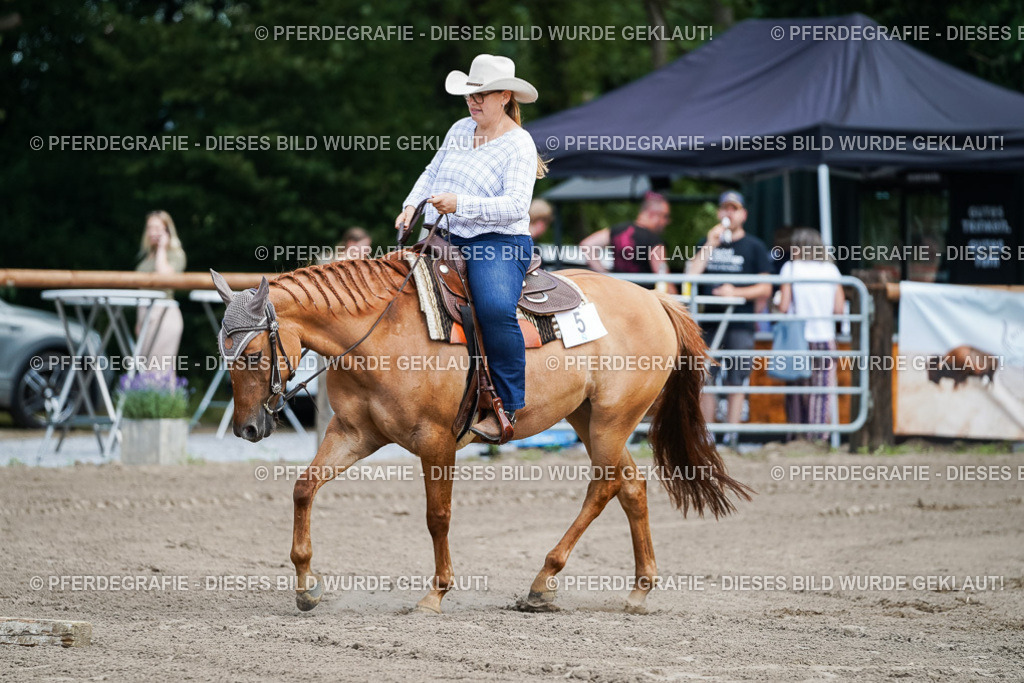 DSC05896 | Pferdegrafie