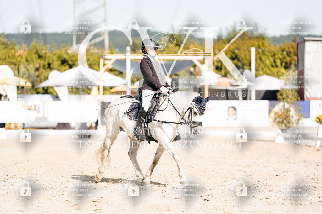 CK905702 | Turnierfotografie Pferdefotografie Trier Rheinland-Pfalz Pferdesport Reitsport Tierfotografie Sportfotografie Pferdevideo Pferdevideografie Equestrianvideography equestrianphotography  - Realisiert mit Pictrs.com