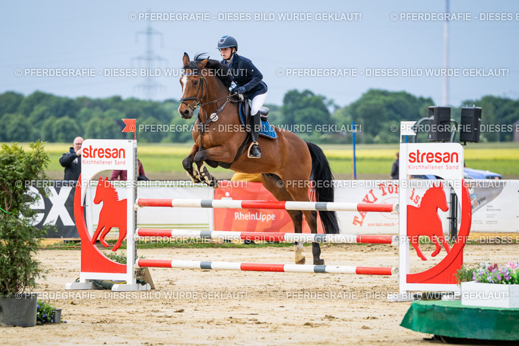 DSC03898 | Pferdegrafie