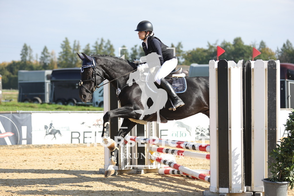 0P6A8048 | Willkommen bei Brunnmayr - Design & Fotografie – Ihrem Spezialisten für Reitturniere und Pferdeveranstaltungen in Oberösterreich, Salzburg und Bayern! Seit über 17 Jahren sind wir leidenschaftlich dabei.