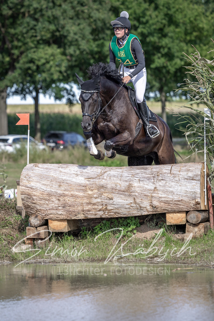 20250907-_3LI2516 | Tierfotografie Pferde, Hunde, Katzen, Haustiere.
Turnierfotografie Reitturniere, Reiten, Springreiten, Dressur in Hanau, dem Main-Kinzig-Kreis und dem Rhein-Main- Gebiet um Frankfurt