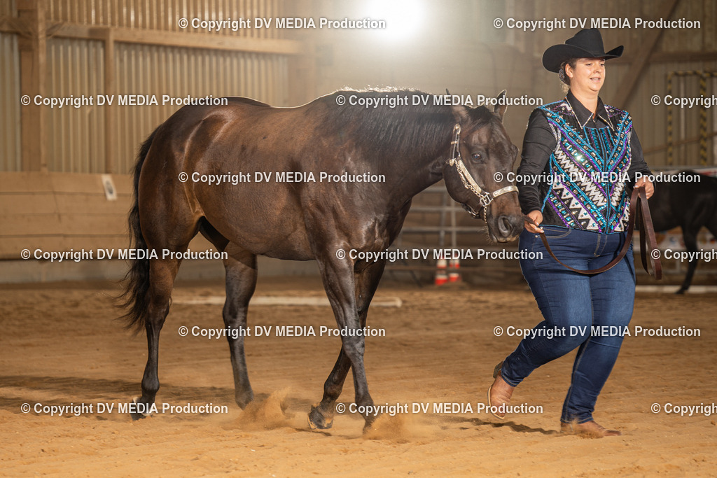 NID02425 | dv-media-shop - Realisiert mit Pictrs.com