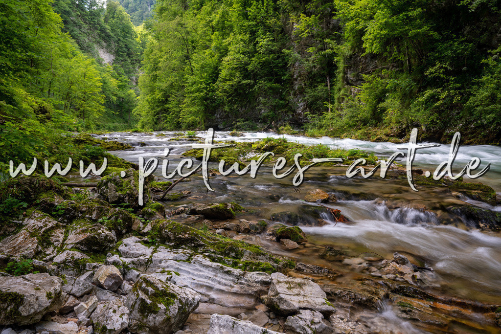 DSC09797 | pictures-art.de