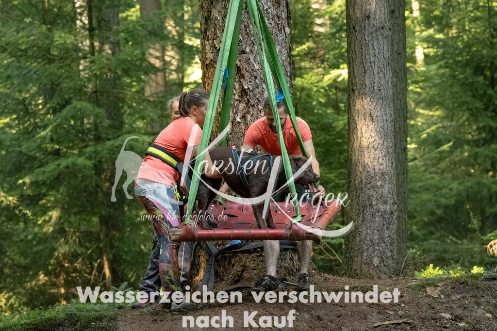 1415_ZZ90065-Bearbeitet | kk-dogfotos