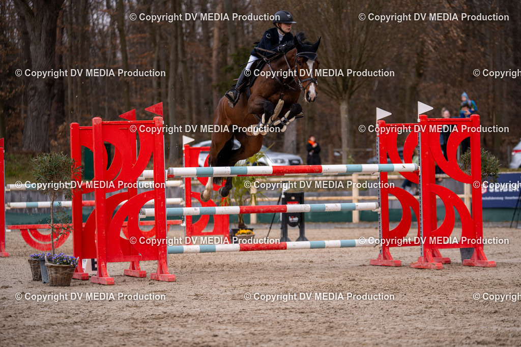 Kranichstein Tag 2-2164 | dv-media-shop - Realisiert mit Pictrs.com