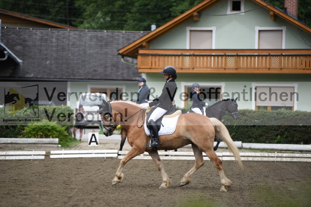 DSC_3763 | equestrian-live-com