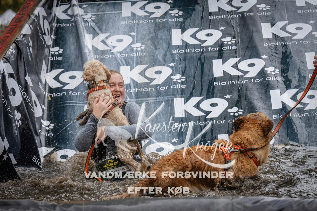 1203_ZZ94168 | kk-dogfotos