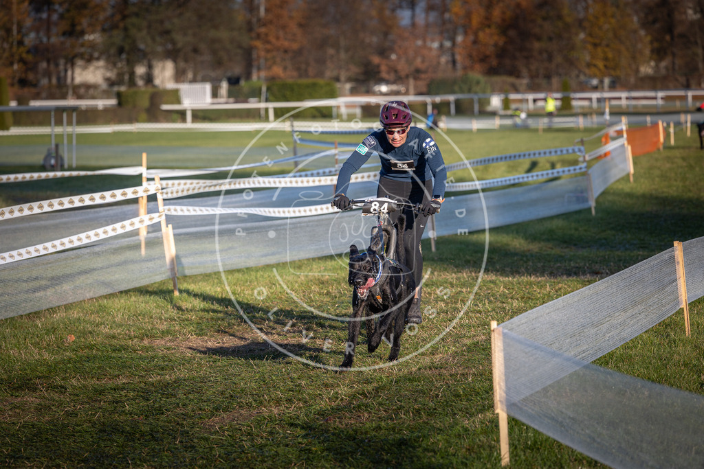 CaniXpix_0L8A3755 | Hundefotografie, Tierfotograf, Pfotenfotografie, Fotoshooting Hund, Hunde Portrait, Hundesport, Hundeportraits, Heideshooting, Hunde, Sportfotograf, Hundefotograf, Turnierhundsport, THS,  - Realisiert mit Pictrs.com