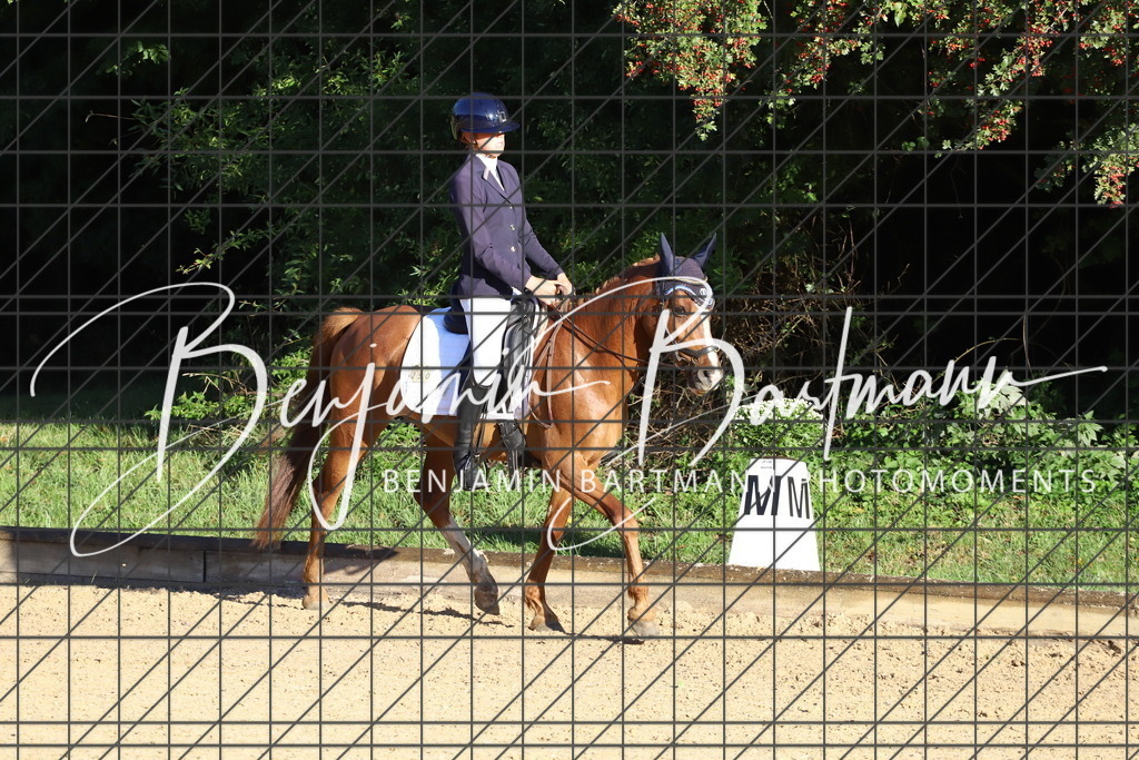 IMG_4635 | Benjamin Bartmann Photomoments