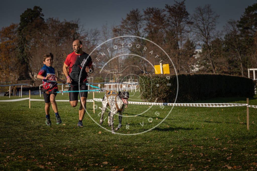 CaniXpix_0L8A8228 | Hundefotografie, Tierfotograf, Pfotenfotografie, Fotoshooting Hund, Hunde Portrait, Hundesport, Hundeportraits, Heideshooting, Hunde, Sportfotograf, Hundefotograf, Turnierhundsport, THS,  - Realisiert mit Pictrs.com