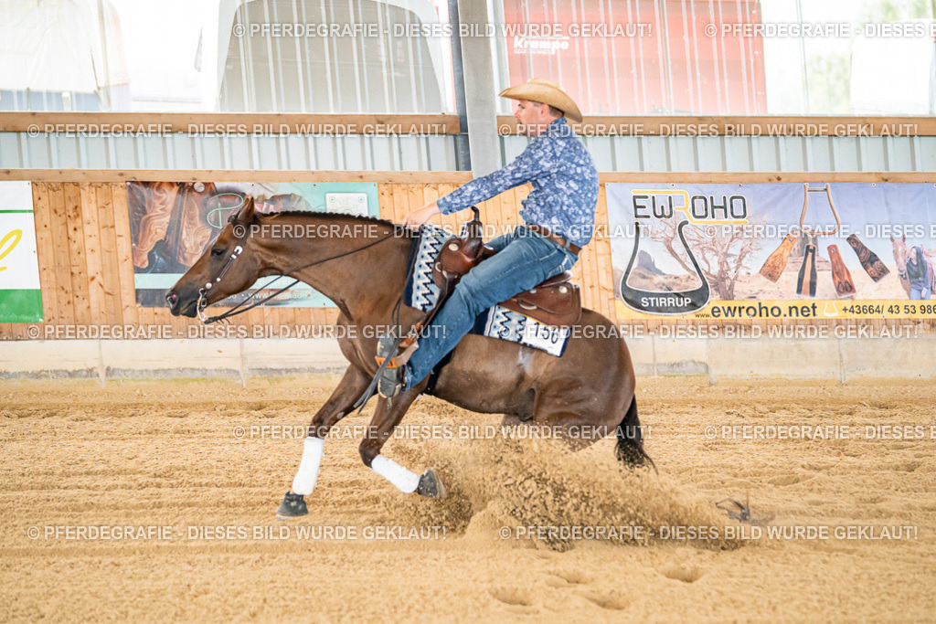 DSC05627 | Pferdegrafie