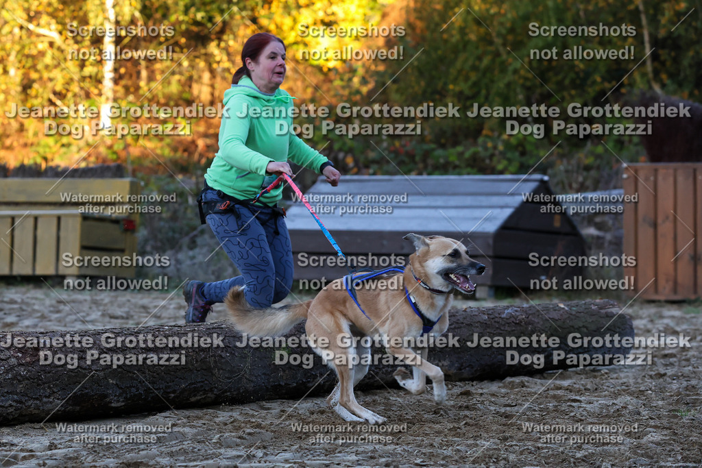 Dog Paparazzi - Strongdog 10-25-427 | Dog Paparazzi Jeanette Grottendiek Fotografie & Videografie - Realisiert mit Pictrs.com