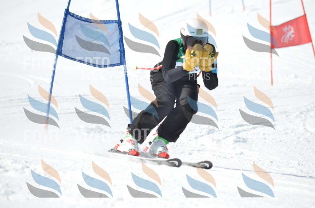 D9190 | holidayphoto