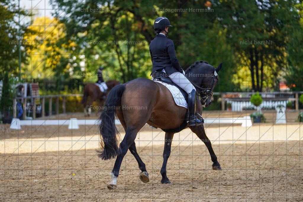 20221007-FAH00111 | Diessen am Ammersee, 2022, Dressur- und Springturnier, Reitsportbilder, Turnierfotografen Bayern, Pferdefotografen, Fotoagentur Herrmann, Turnierbilder