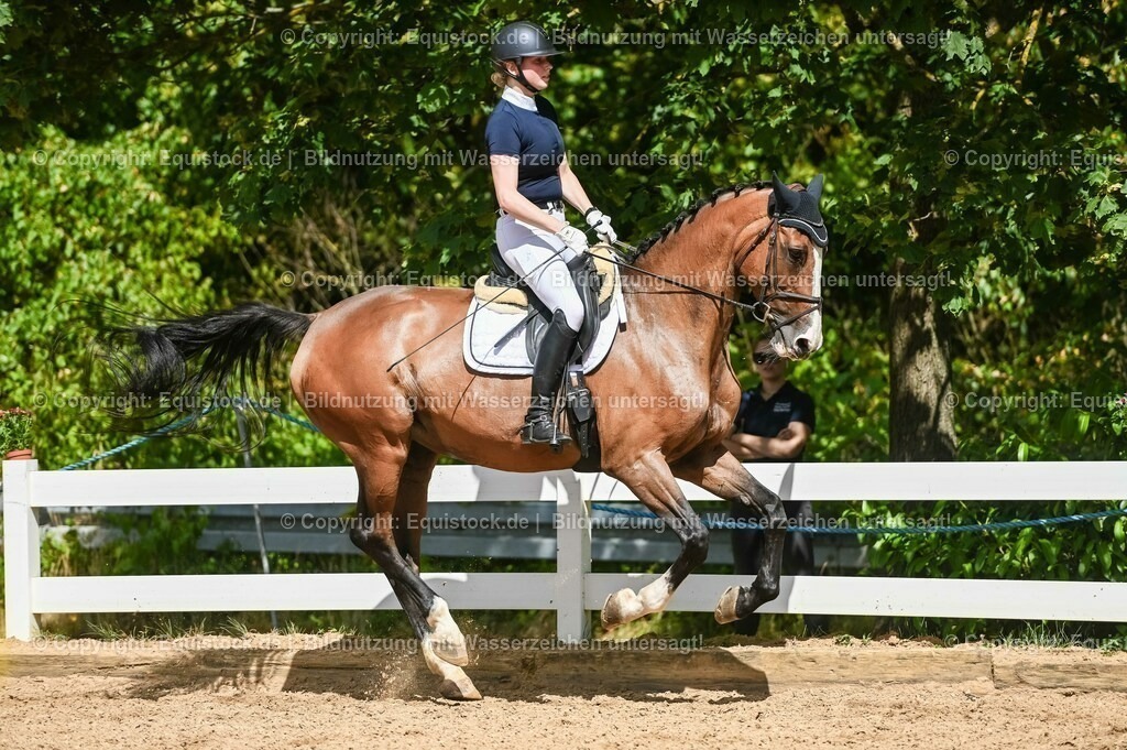 20230715_02_Dressurreiterprüfung Kl.L_0338 | equistock