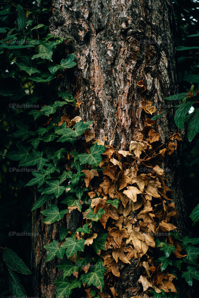 20221020_PaulHense_S0054_DSC00152 | paulhense - Realisiert mit Pictrs.com