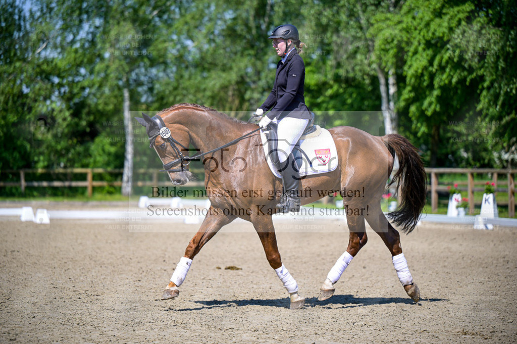 Reitturnier Lienen | Entdecke hochwertige Reitturnierfotos von Foto Oger. Professionell, emotional und authentisch – jetzt Lieblingsmomente im Shop bestellen. - Realisiert mit Pictrs.com
