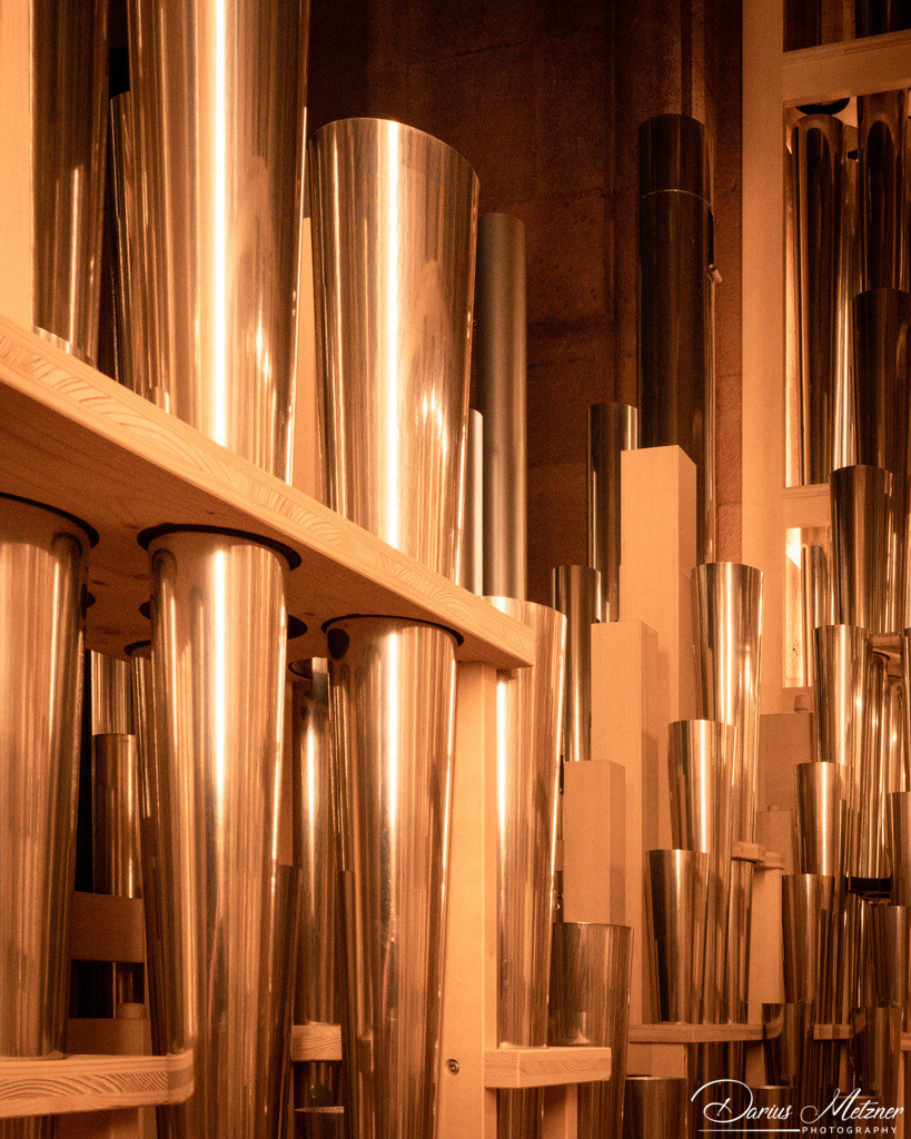 Der Mainzer Dom | Bild / Foto vom Mainzer Dom in Mainz