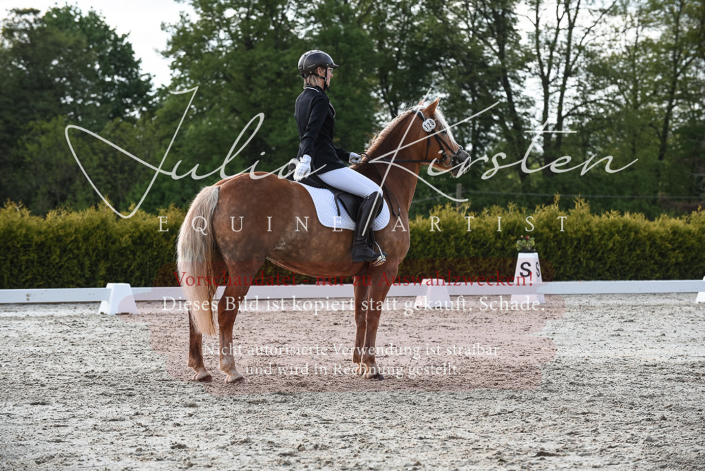 20230518_JK-Röhrsdorf-09-1611 | Pferde- und Turnierfotografie in Westsachsen. Pferdeportraits, Auftragszeichnungen und intuitive Kunst.