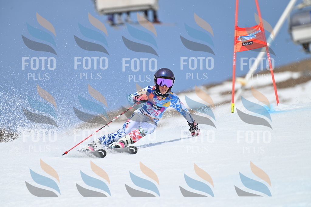 BGV_2327 | holidayphoto