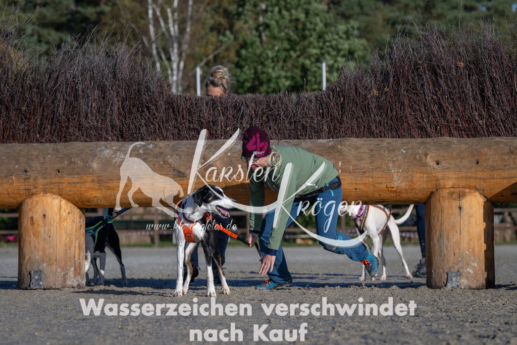 1045-_ZZ92414 | kk-dogfotos