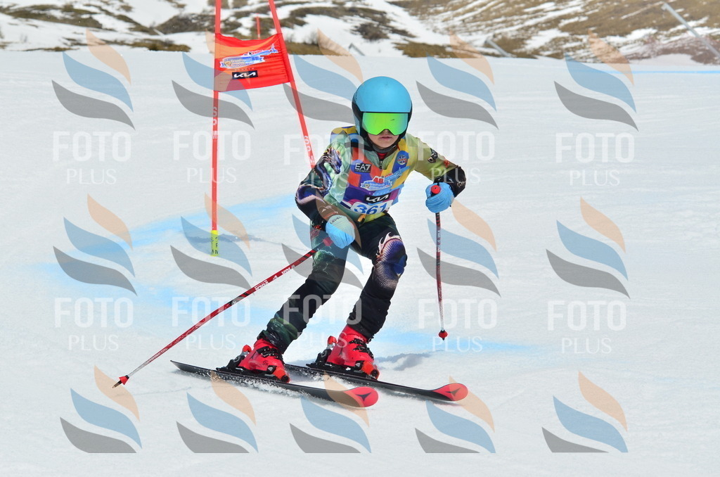 _ELE2875 | holidayphoto