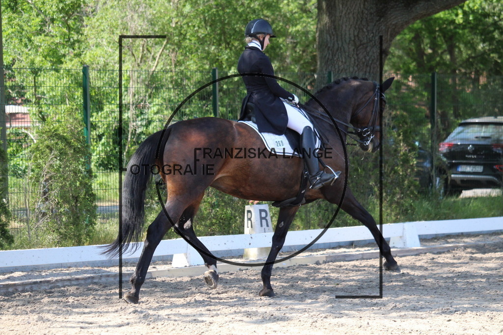 IMG_4943 | franziskalange - Realisiert mit Pictrs.com