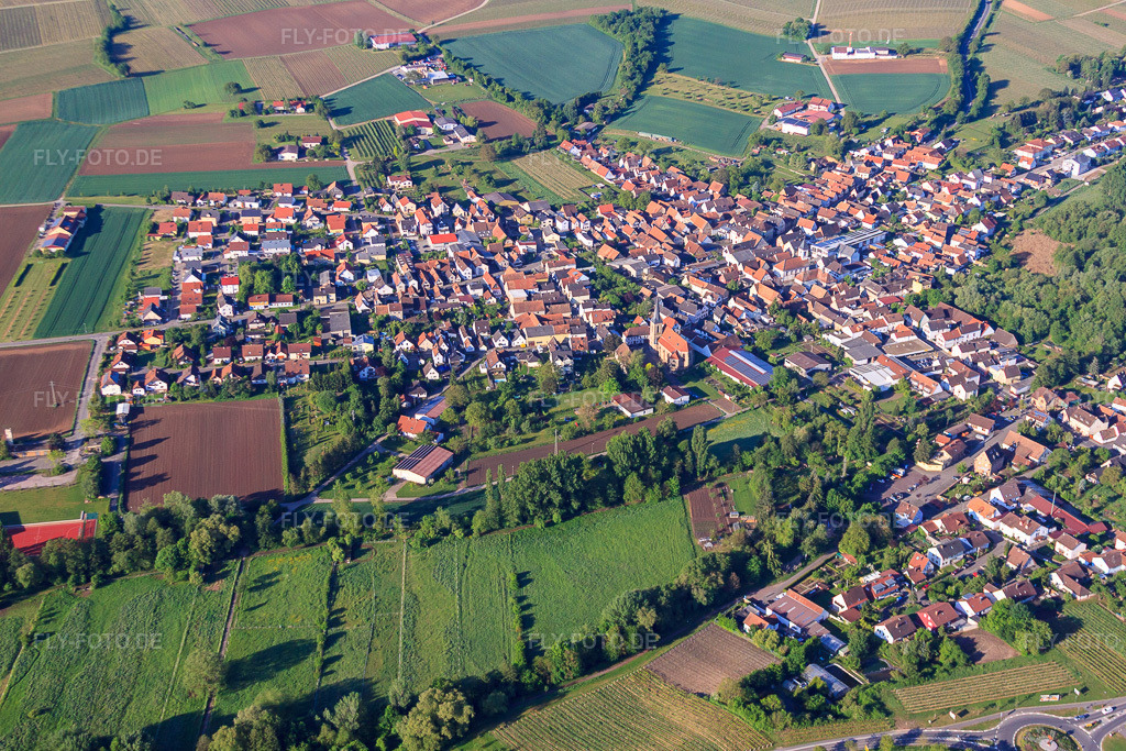 Luftbild: Dorfansicht am Morgen von Norden im Ortsteil Ingenheim in Billigheim-Ingenheim im Bundesland Rheinland-Pfalz in Deutschland. Foto: IMG_64751.jpg vom 04.05.2014 durch Werner Riehm/FLY-FOTO.de