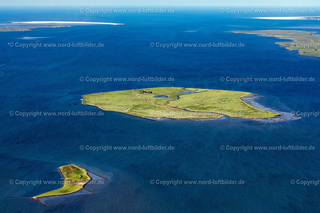 Hallig_Gröde_ELS_8290100623 | GRöDE 10.06.2023 Grasflächen- Strukturen einer Hallig- Landschaft im nordfriesischen Wattenmeer in Gröde im Bundesland Schleswig-Holstein, Deutschland. Kleine Insel im Nationalpark Wattenmeer. // Green space structures a Hallig Landscape of north sea in Groede in the state Schleswig-Holstein, Germany. Foto: Martin Elsen