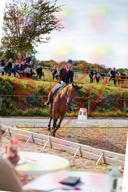 2026_10_03_Siefer-Hof_131005_Z63_72249480 | Professionelle Reitsport-, Turnier- und Eventfotografie von Robert Broda. Galerien mit ausgewählten und bearbeiteten Bildern direkt online ansehen und bestellen.