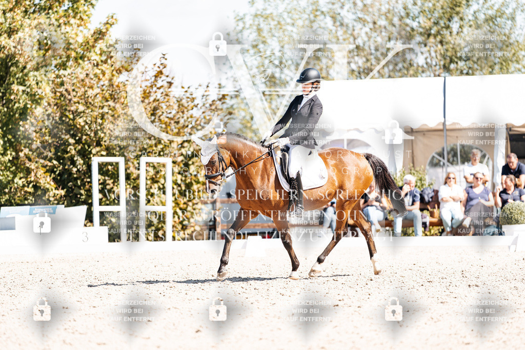 CK903696 | Turnierfotografie Pferdefotografie Trier Rheinland-Pfalz Pferdesport Reitsport Tierfotografie Sportfotografie Pferdevideo Pferdevideografie Equestrianvideography equestrianphotography  - Realisiert mit Pictrs.com