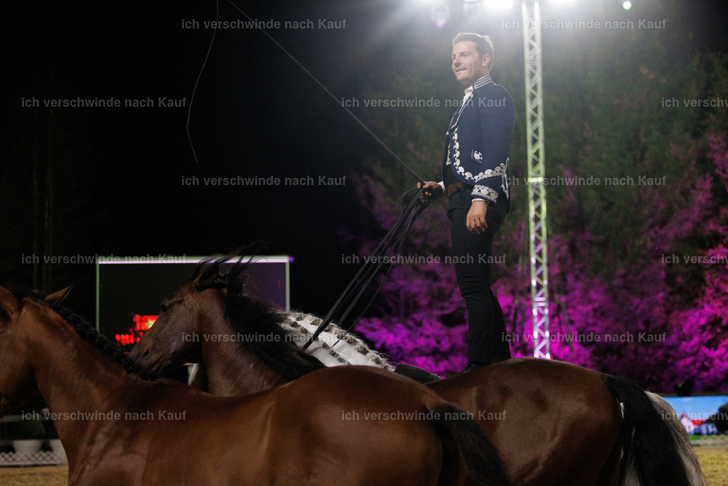 FHClassics-400 | working equitationturnier fotograf videograf stoibphotography marixx film working equitation deutschland reitsport turnierfotografie eventfotografie equestrian events